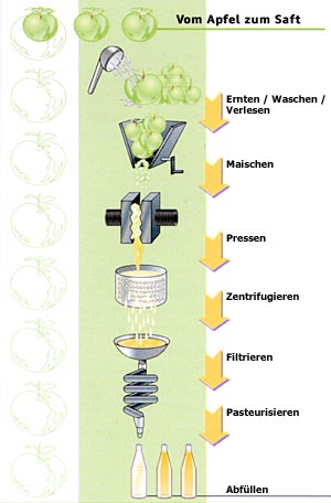 entstehung-apfelsaft.jpg